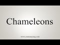 How To Say Chameleons