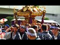 板橋区民まつり 2016 神輿パレード【長後町会神輿】itabashi ward community festival