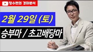 2월 28일 (토) 승부마 / 초고배당마번