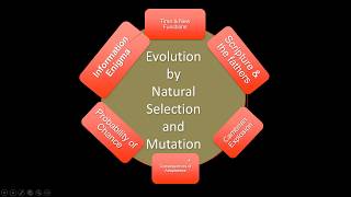 Evolution Challenges - Information Enigma