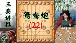 象棋博大精深 鸳鸯炮(22)