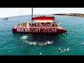 dolphins maxicat catamaran tenerife