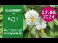 Jak dokarmiać plantacje ziemniaka  🥔- komunikat warzywniczy | Agrosimex