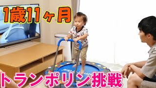 【トランポリン】1歳11ヶ月