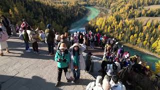 ［空拍］新疆北疆喀納斯景區 月亮灣 航拍 無敵秋景 美景令人陶醉 Moon bay of Kanas Lake