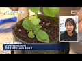 피서지 배출 쓰레기 골치‥ 재활용이 대안 2023.07.24 뉴스데스크 mbc강원영동