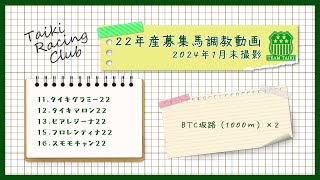 【22年産】調教動画⑪　BTC坂路コース　2024年1月末撮影