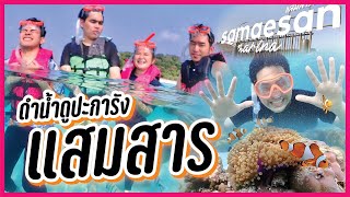 ดำน้ำ 'แสมสาร' ด้วยงบหลักร้อย แต่วิวหลักหมื่น!!  | NUTYIMM26