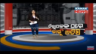 Damdar Khabar: Wild Bear Spotted Inside District Collector's Official Residence In Nuapada