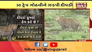 Amreli: દીપડી ઝડપાયા બાદ કલેક્ટરનું નિવેદન, હજુ 144 કલમ લાગુ રહેશે  | VTV Gujarati News