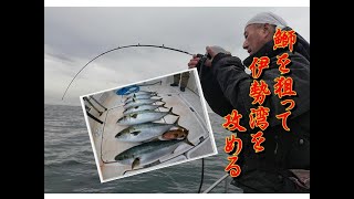 【海釣り情報】ヤバっ！船長の竿に鰤が一番最初にヒットしてしまった！