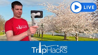 East Potomac Park (Washington DC) Cherry Blossoms 🔴 LIVE