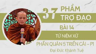 37 Phẩm Trợ Đạo | Bài 14: Phần quán 5 triền cái -P1| Phần 1: Tứ Niệm Xứ| ĐĐ Khánh Tuệ| Chùa Viên Tuệ