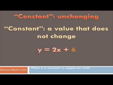 What is the constant in a math equation?