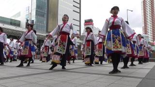 皇學館大学よさこい部【雅】さん　キタラ会場　第17回浜松がんこ祭2017.3.12