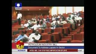 PIB Bill: Lawmakers divided over some provisions