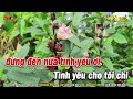 karaoke không 2 tone nữ gm nhạc sống remix karaoke phi long