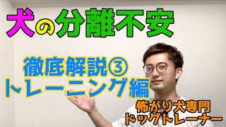 【怖がり犬専門トレーナー解説！】犬の分離不安を徹底解説③トレーニング編