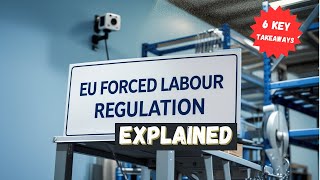 EU Forced Labour Regulation Explained: 6 Key Takeaways \u0026 Global Comparisons (CSDDD vs. UFLPA)