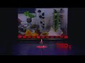 From Bottles to Models: The Power of “We” | Bryce Gao | TEDxYCYW Shanghai Youth