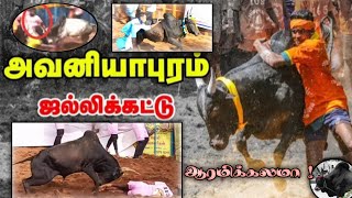 💯✨உலகமே பார்கும் அவனியாபுரம் ஜல்லிக்கட்டு என்ன நடந்தது ? 💥🔥#kaalai #jallikkattu#jallikkattu_videos