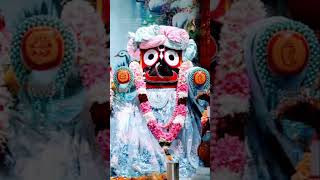 🙏କେମିତି ପୋଛିବ ଲୁହ ସେ ତାର ପଣତ ଚିରା 🙏#jayjagannath #malika #bhajan #kaliyug #shortvideo #whatsapp #jay