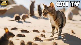 Cat TV for Cats to Watch🐱| Mice sand grabbing, hide \u0026 seek and playing on screen 4K UHD