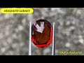 Buy Garnet from Sri Lanka