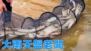 [Deng Gang Fishing] On a rainy day, the reservoir owner's face is the same as it is now.