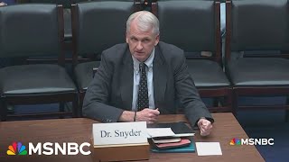 Doing Russia’s bidding: Snyder calls out GOP ‘Putin wing’ to their faces in Hill