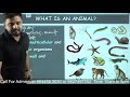 part 01 animal kingdom chap 04 11th biology