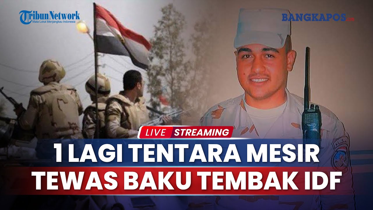 🔴 Perang Terancam Meluas, 1 Lagi Tentara Mesir Tewas Akibat Baku Tembak ...