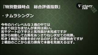 神戸新聞杯とオールカマーの特別登録時点総合評価指数　凱旋門賞の話も少々