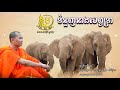 ទំនួញនាងសព្វទ្រា ly huy general knowledge