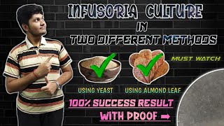 How to Culture Infusoria without starter | தமிழ் | Wonder Aqua Garden