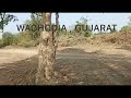 farm land land for sale project name farm land in waghodia waghodia gujarat