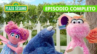 Plaza Sésamo: Las Pequeñas aventureras descifran el mapa de COMEGALLETAS - Episodio completo