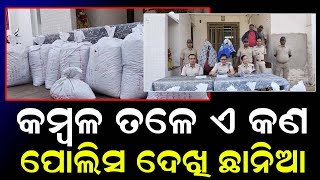 କମ୍ୱଳ ତଳେ ଏ କଣ ପୋଲିସ ଦେଖି ଛାନିଆ  || Odisha Halchal