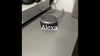 My Alexa Is Broken