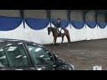 Borsdane Wood’s first ever dressage test! • BD Intro 2 2024 • 68.86% 3rd place • Selston E.C 