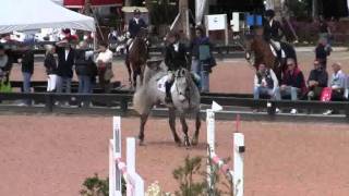 Video of VICTOR VDL ridden by JONATHAN MCCREA from ShowNet!