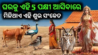 ଘରକୁ ଏହି 5 ପକ୍ଷୀ ଆସିବାରେ ମିଳିଥାଏ ଶୁଭ ସଂକେତ , ଘରକୁ ଆସିଥନ୍ତି ସାକ୍ଷାତ ମା ଲକ୍ଷ୍ମୀ // Odia Vastu Tips