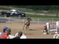 horsejunkiesunited.com leslie howard and goed zo parcours de chasse bromont