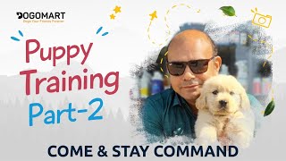 Puppy Training (Part-2) Come & Stay Command | LIVE EXAMPLE | How to Teach in 1 Day? Baadal Bhandaari