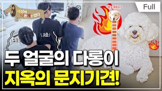 [Full] 세상에 나쁜 개는 없다 - 가까이 오지 마! 지옥의 문지기견