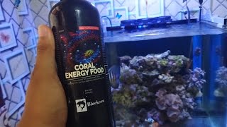 DON'T MAKE YOUR CHOICE❗REVIEW CORAL ENERGY FOODs Blacksea| Cheap But..