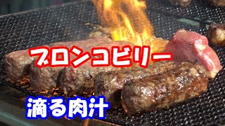 肉汁が滴る炭火焼きハンバーグ・ステーキ【ブロンコビリー】