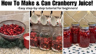 How To Make Cranberry Juice | Step by step tutorial | Only 3 ingredients!