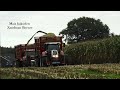 Case IH | Dewa | New Holland | Mais hakselen door Zandman Beerze!