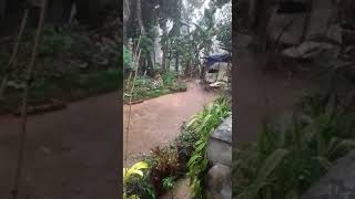 kollam ചടയമംഗലം ഇന്ന് വൈകിട്ട് | Rain Kollam #heavyrain #metbeatweather #keralarain #depression